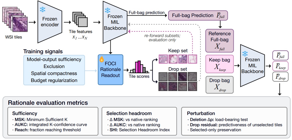 Figure 2. FOCI Architecture